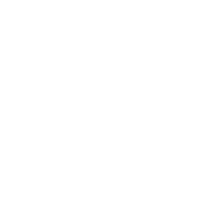 Onward Travel