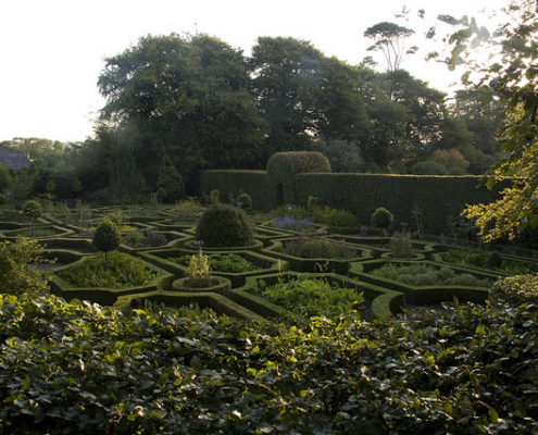 ballymaloe-herb-garden