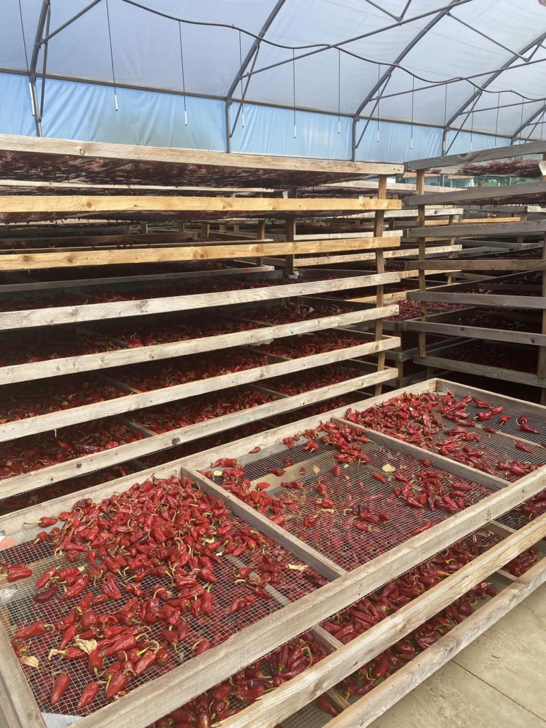 espelette peppers