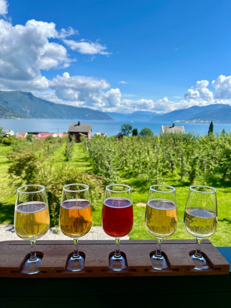 Cider tasting