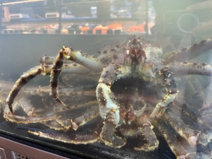 King crab
