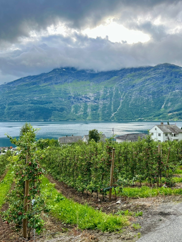 Scenic landscape
