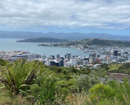 Wellington, NZ