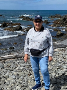Watching seals
