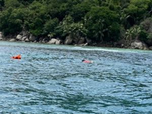 Snorkeling the Maldives