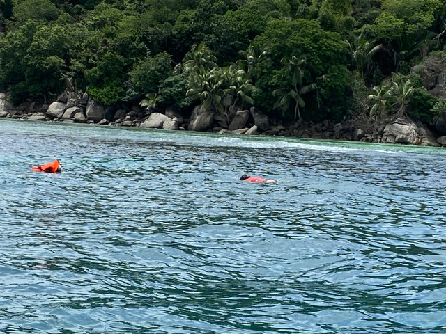 Snorkeling the Maldives