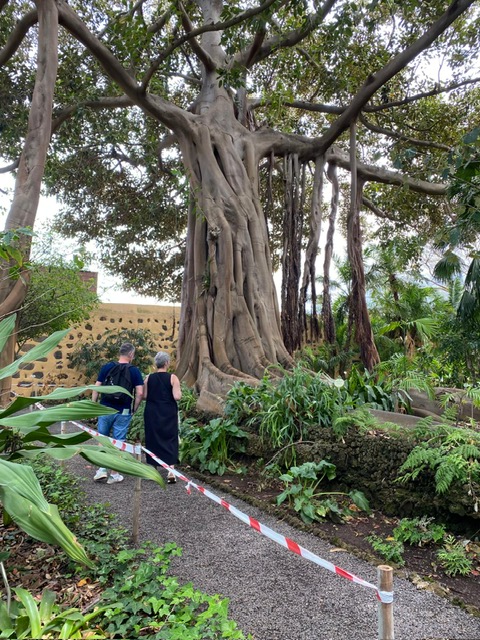 Botanical Gardens